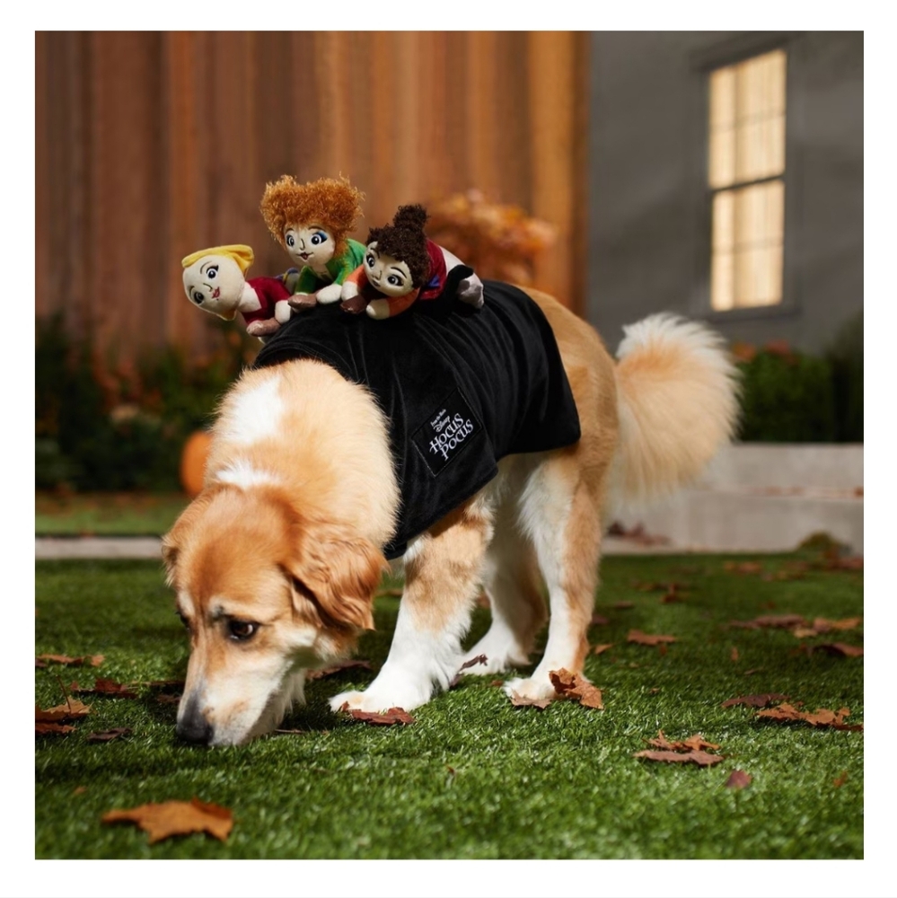 Hocus Pocus Dog/Cat Costume
